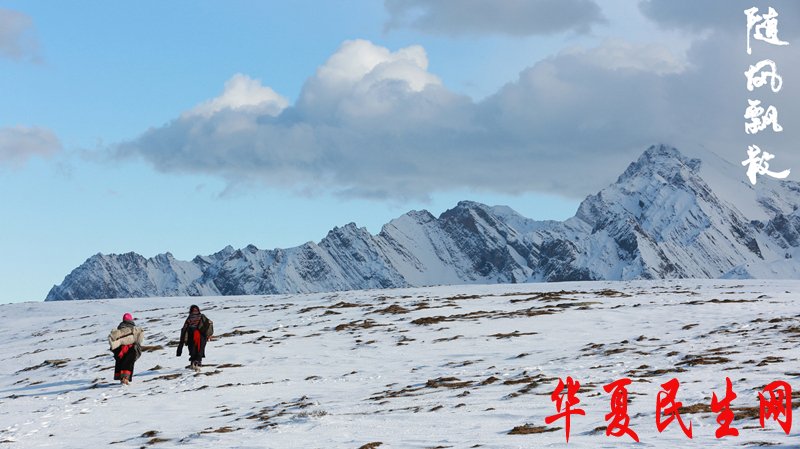 3《随风飘散》场景唯美.jpg