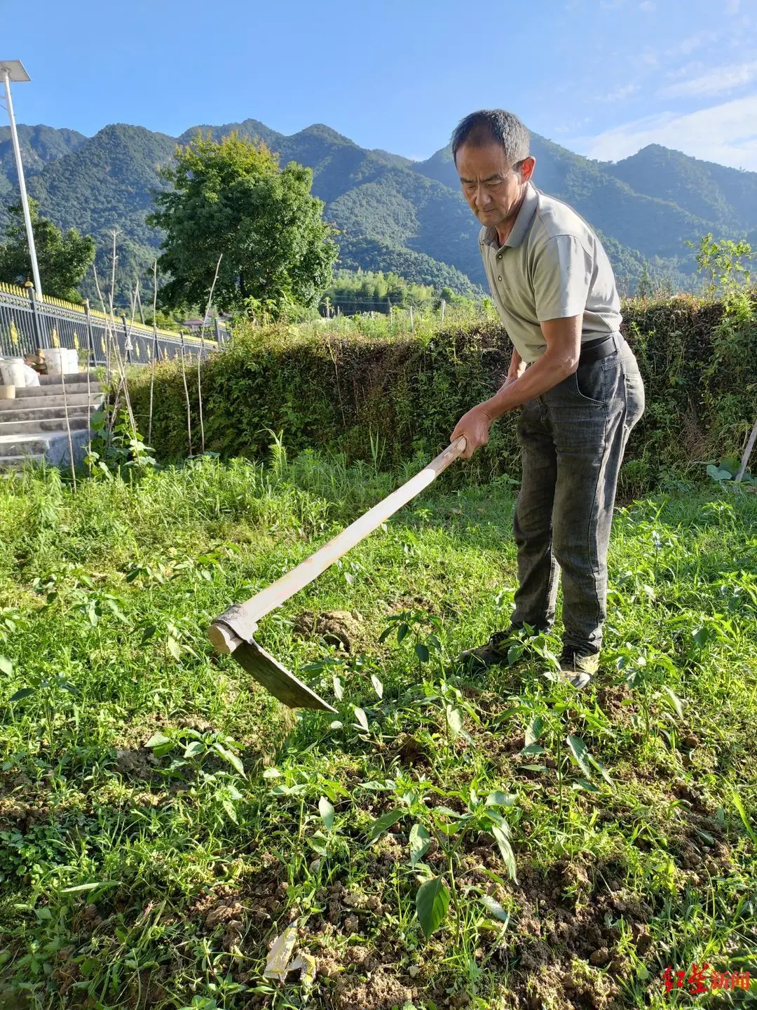 智障者奸杀少女被判死缓 服刑18年出狱 检察院建议再审