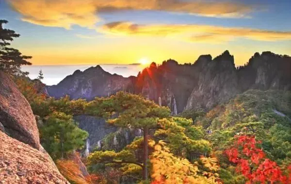黄山风景。图片来源:澎湃新闻
