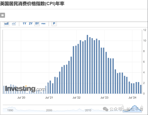 这就是那只大大的黑天鹅