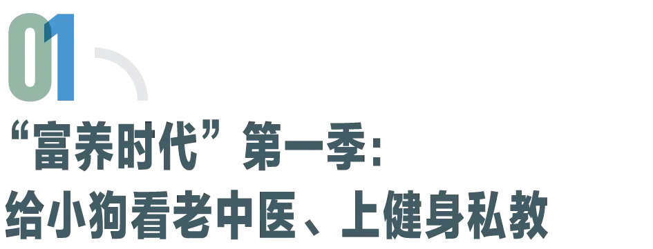 中国宠物数量大过婴幼 1亿家庭进入“猫狗富养时代”