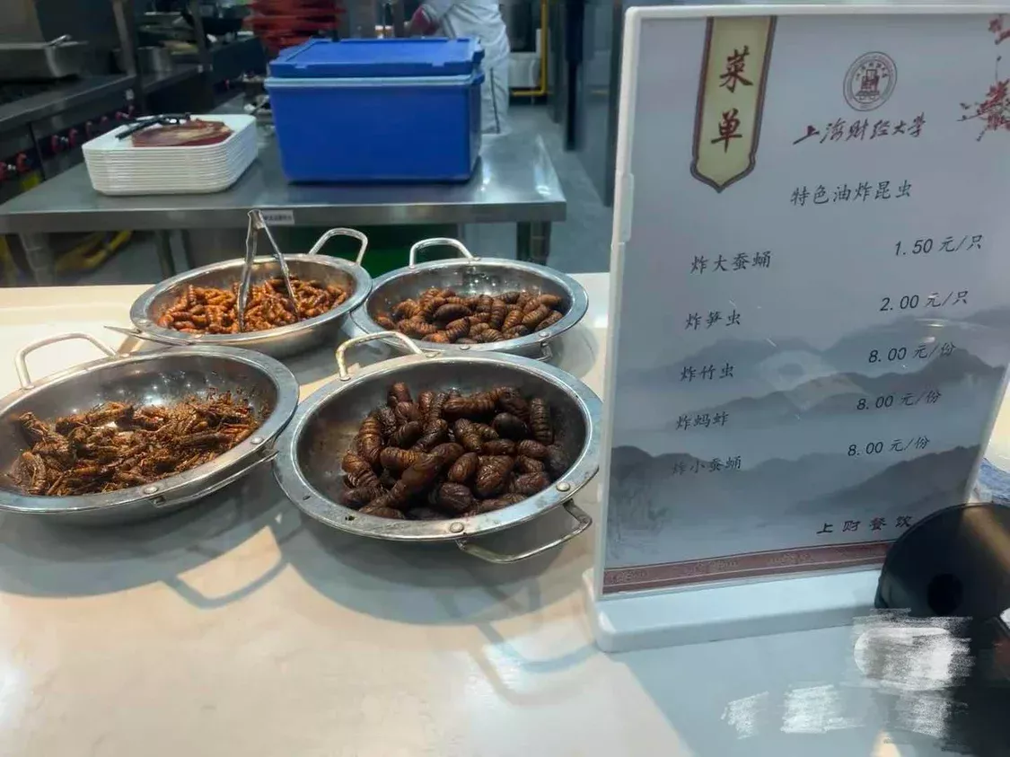 上财食堂推出“油炸昆虫”：有云南同学大快朵颐