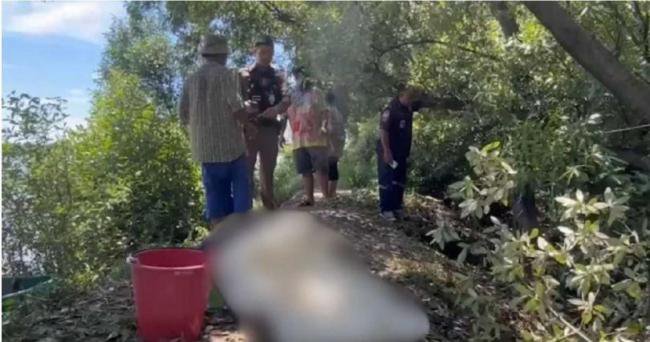 男子修树   全身没伤却当场死亡