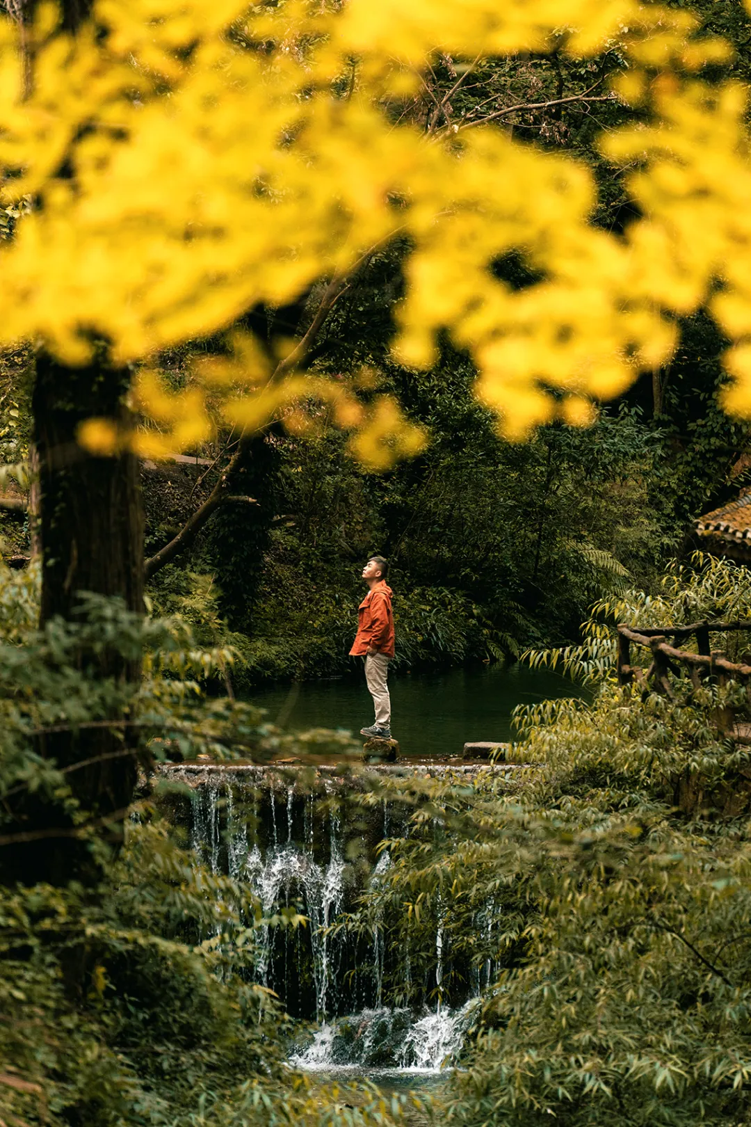 一秋知“五养”，这个西南秘境到底有多上头