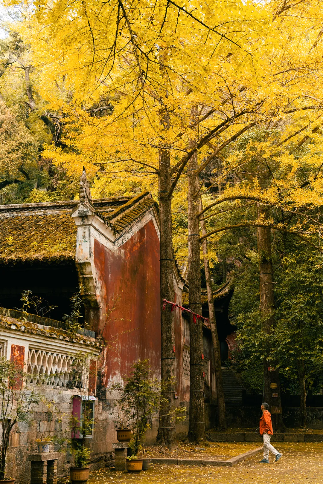 一秋知“五养”，这个西南秘境到底有多上头