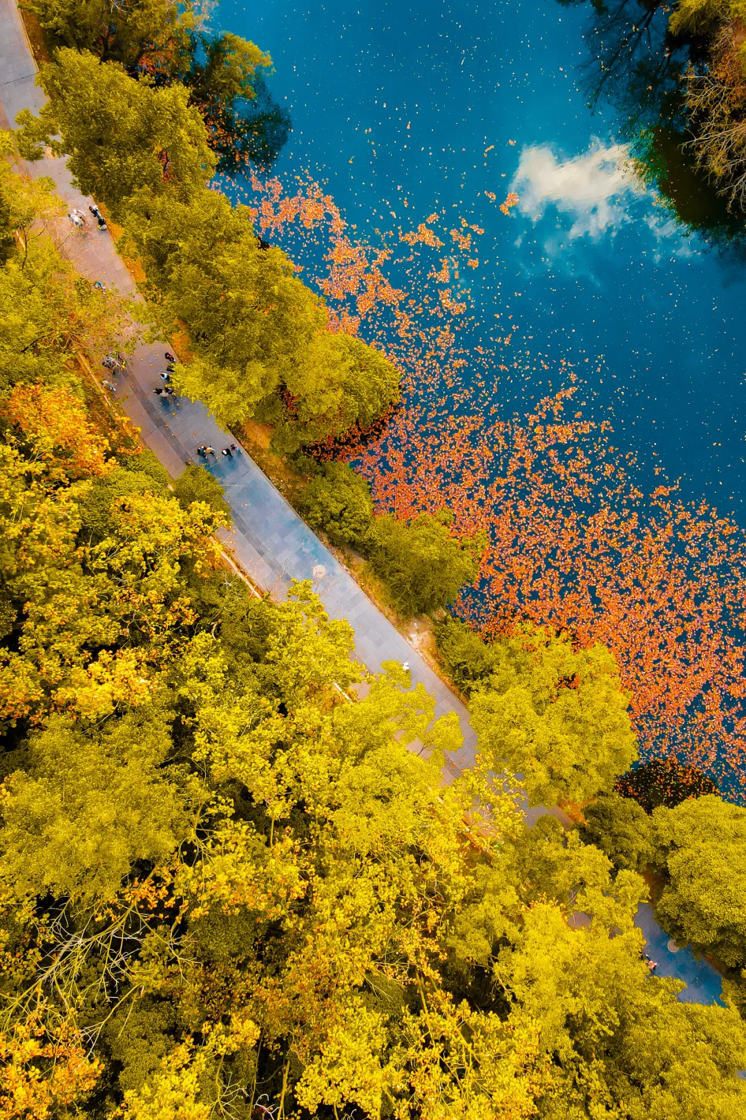 一秋知“五养”，这个西南秘境到底有多上头