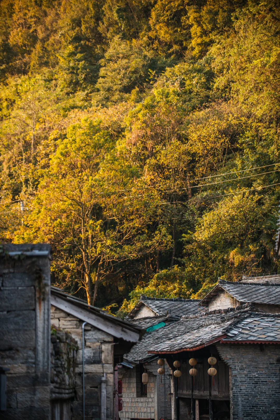 一秋知“五养”，这个西南秘境到底有多上头