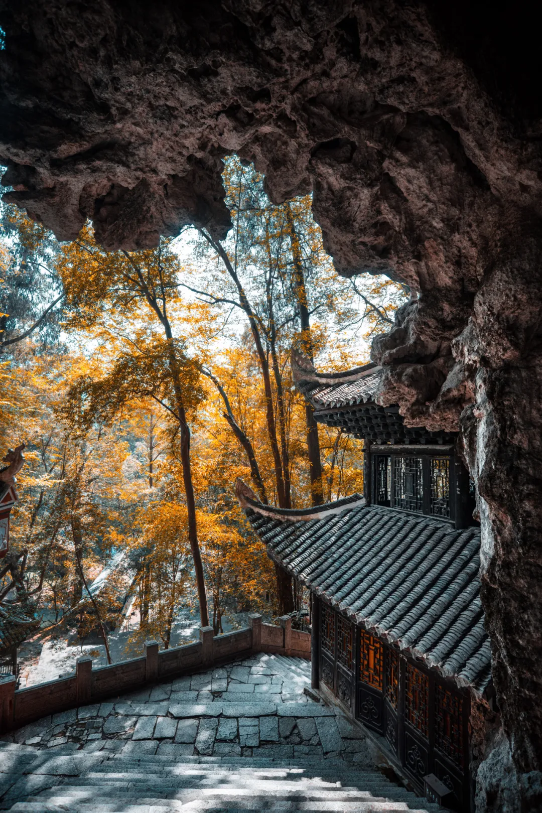 一秋知“五养”，这个西南秘境到底有多上头