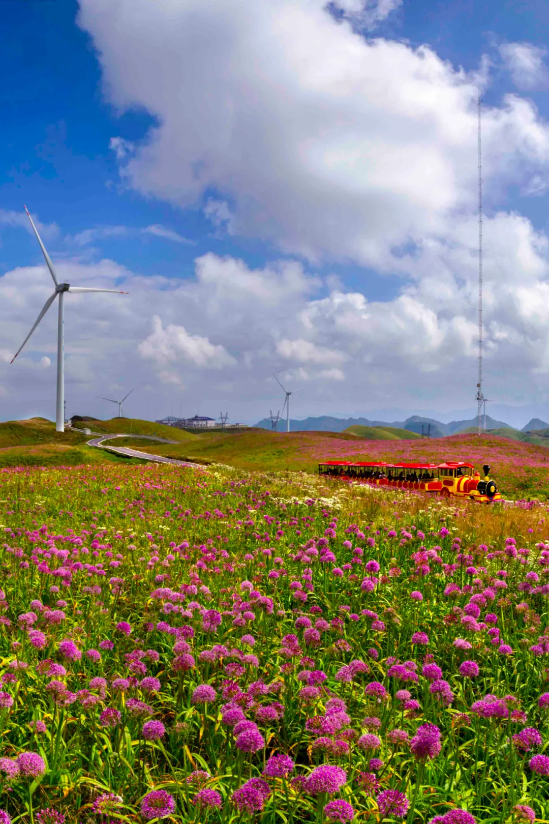 一秋知“五养”，这个西南秘境到底有多上头