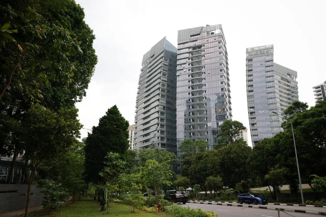 来自福建，“太子”陈志是何方神圣？外媒扒皮