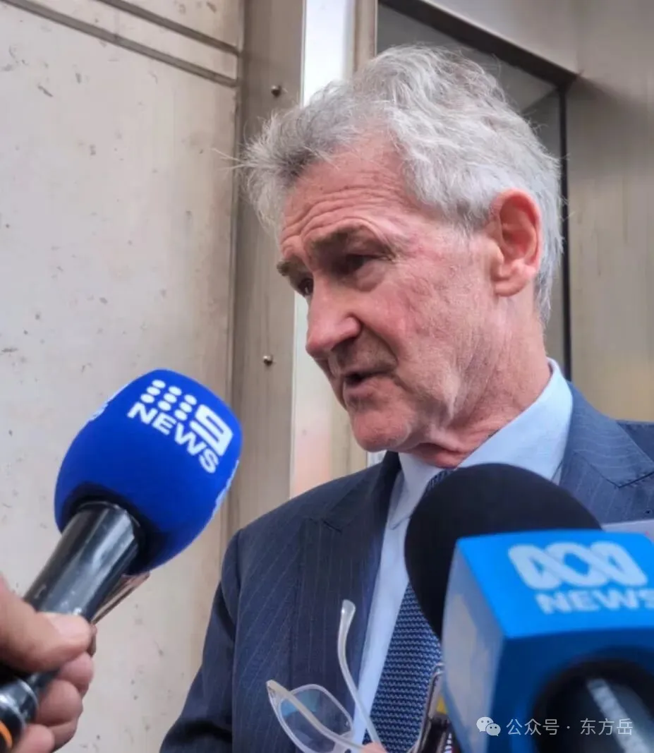 杨兰兰澳洲开庭 旁听华人大呼失望