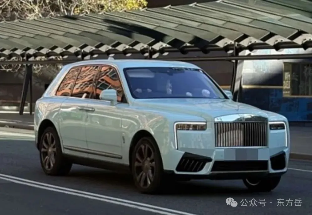 杨兰兰澳洲开庭 旁听华人大呼失望