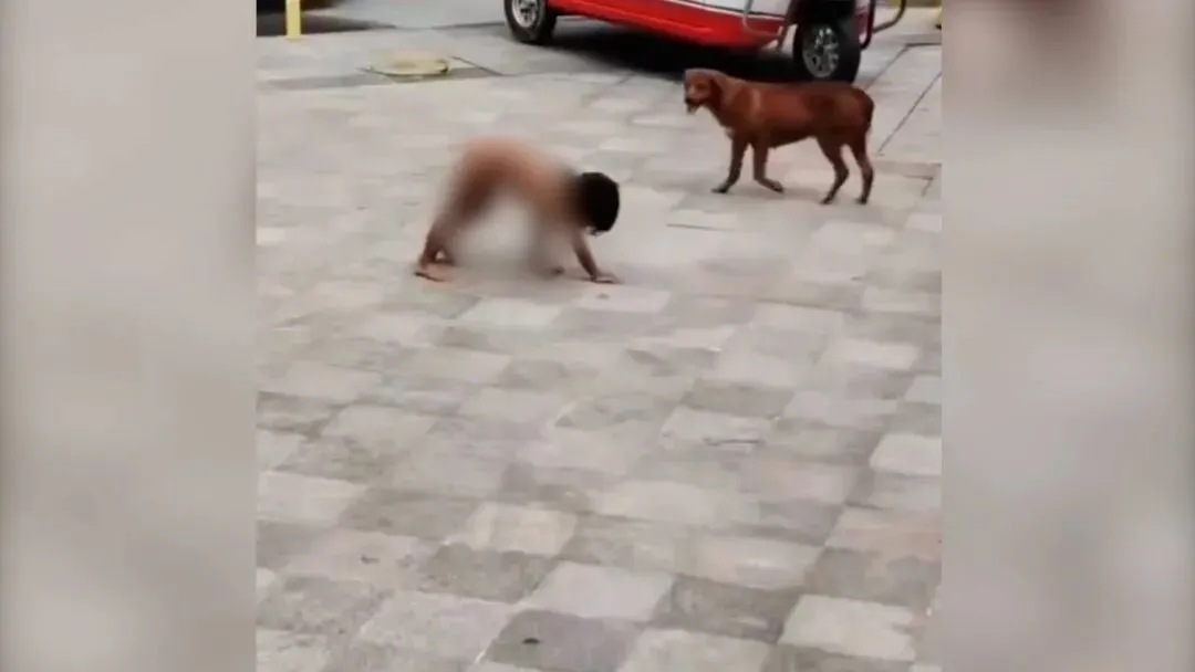 实探“野人小孩”村子:其父上山“灵修”后就“不正常了”