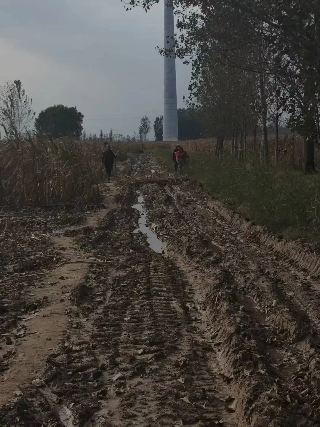 接连下雨使得通往田地的道路也泥泞不堪/受访者供图