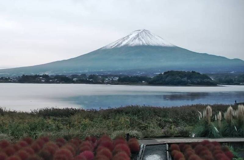今早河口湖大石公园。（图撷自富士山即时影像）