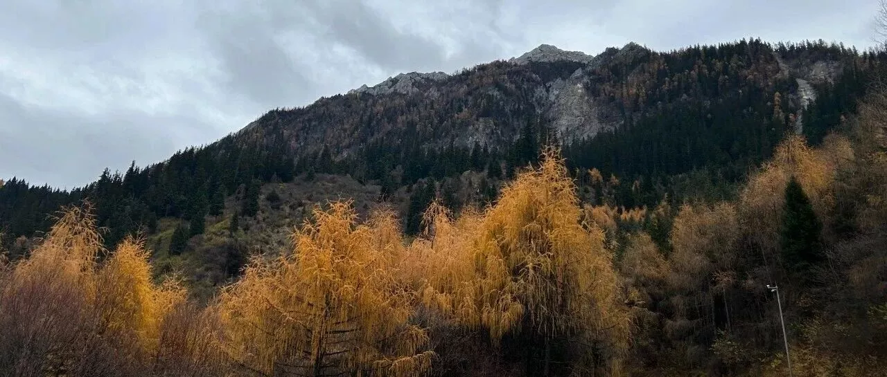 “哪怕天大的理由,他们都是畜生!”