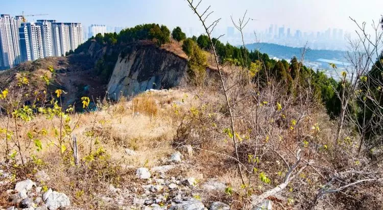 楚王墓被盗细节披露:“摸金校尉”在村里租房3年…