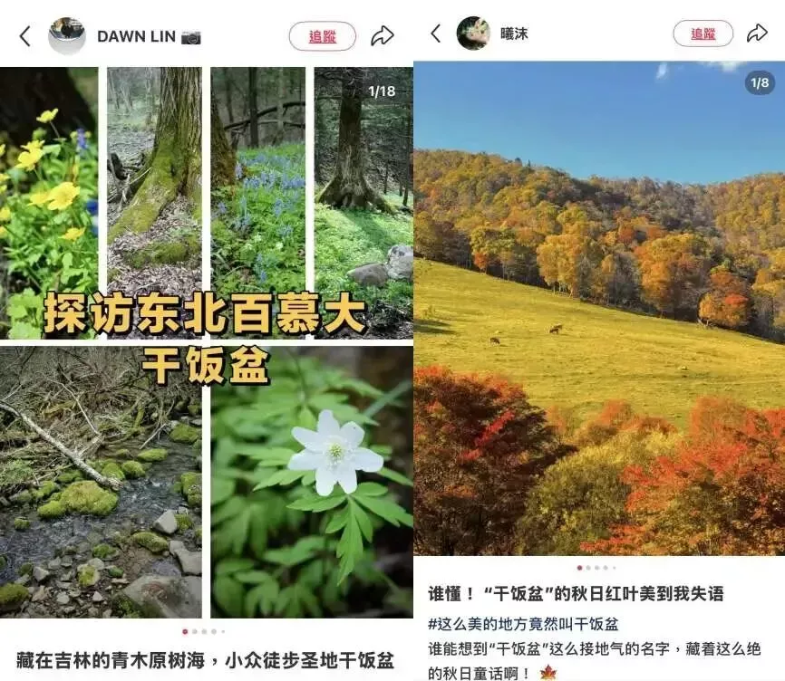 图源：小红书@DAWN LIN、@曦沫 （已获授权）