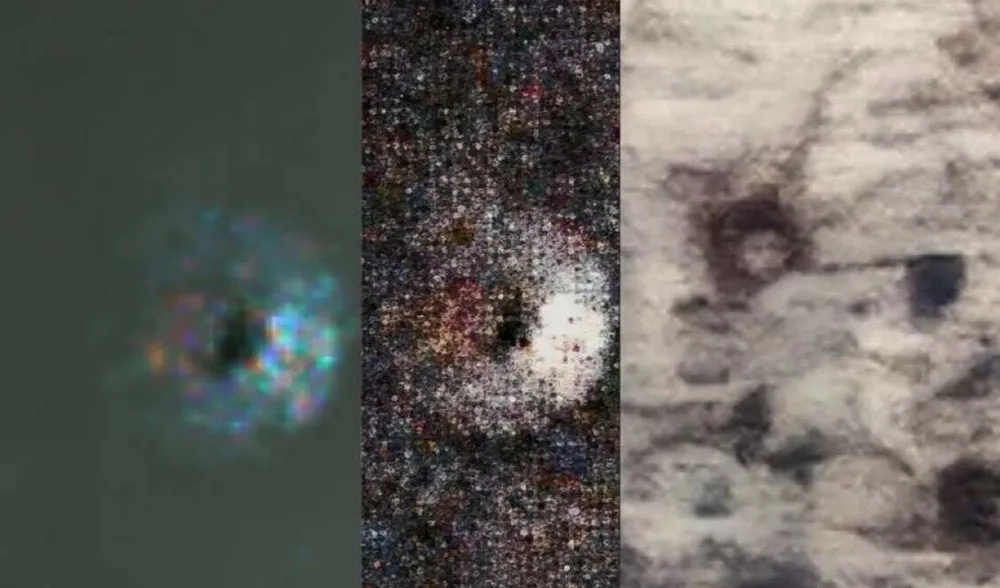 十一后，无论是上班的还是上学的都充满怨气