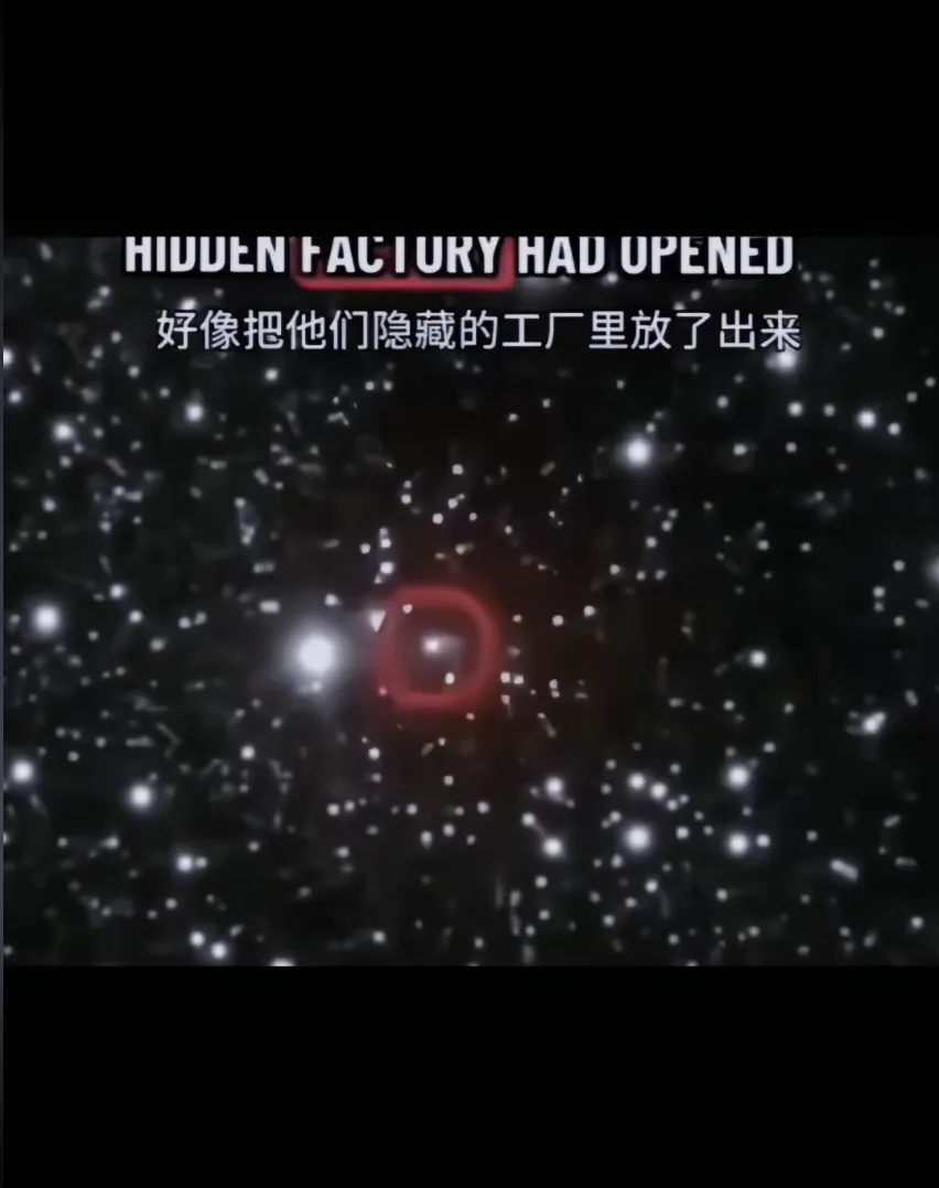 十一后，无论是上班的还是上学的都充满怨气