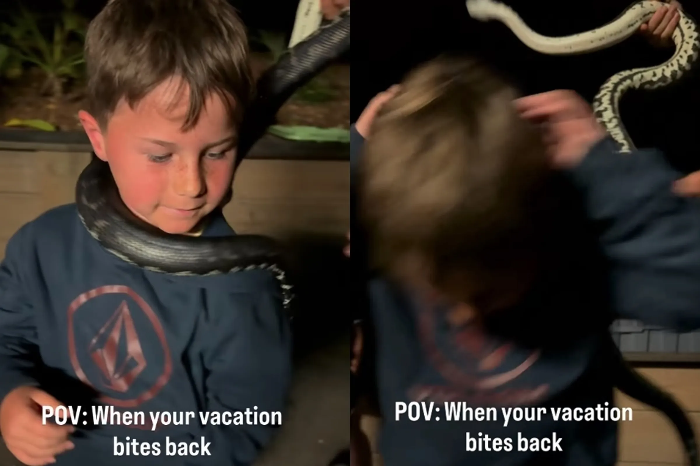 恐怖瞬间！澳洲男童动物园体验 遭蛇咬头爆血