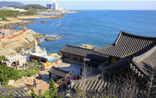 川普“口误”,将掀起惊涛骇浪 川普“口误”,将掀起惊涛骇浪