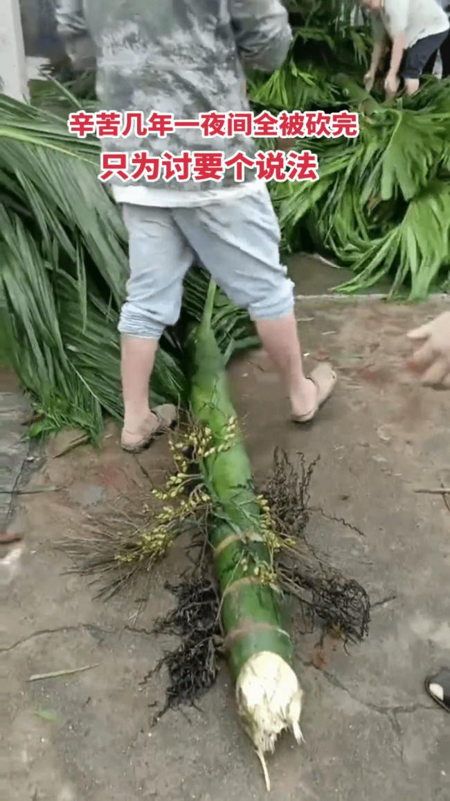 海南农民爆发大规模示威 网传警方一度鸣枪驱散 海南农民爆发大规模示威 网传警方一度鸣枪驱散