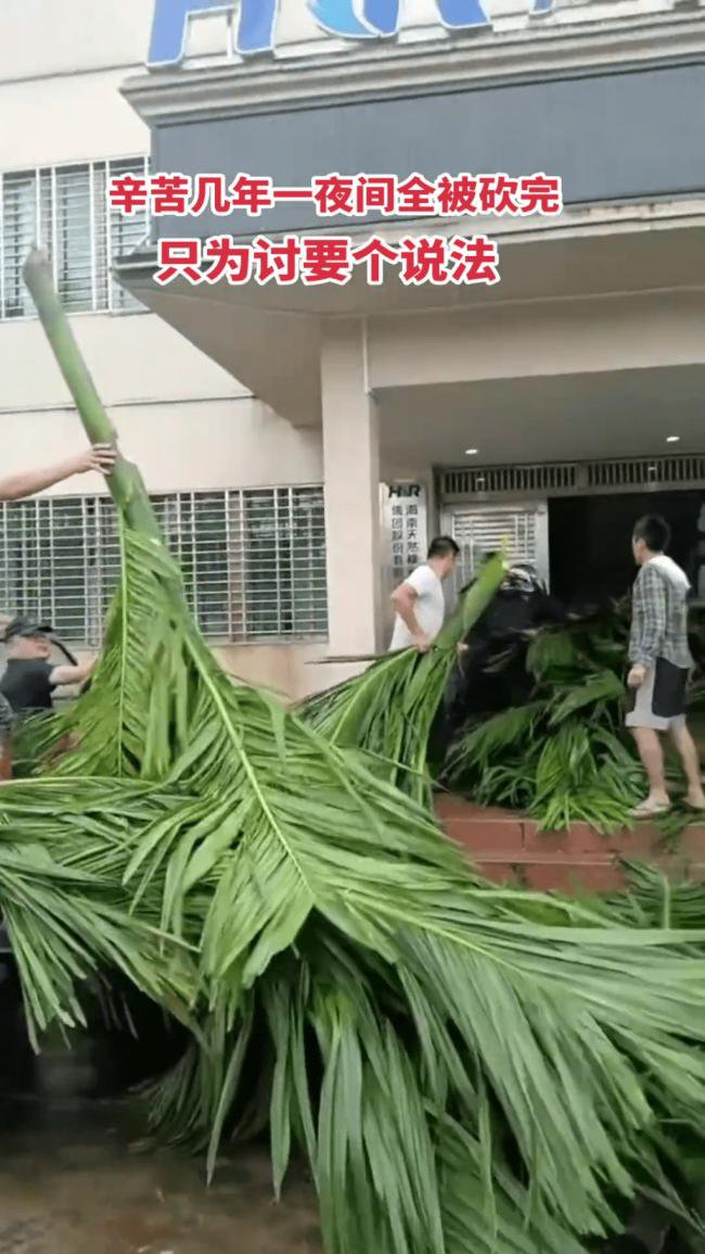 海南农民爆发大规模示威 网传警方一度鸣枪驱散 海南农民爆发大规模示威 网传警方一度鸣枪驱散