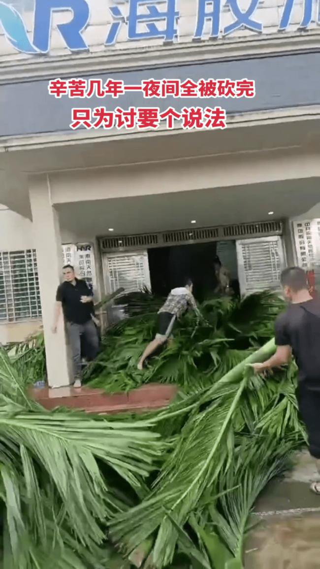 海南农民爆发大规模示威 网传警方一度鸣枪驱散 海南农民爆发大规模示威 网传警方一度鸣枪驱散