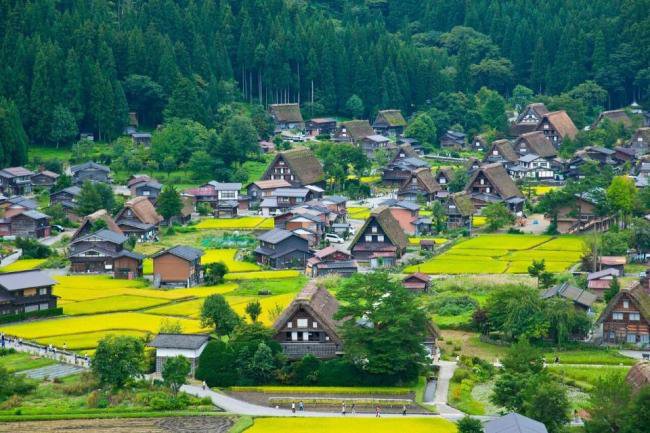 不敢去日本的游客,被现实版“熊出没”吓坏了 不敢去日本的游客,被现实版“熊出没”吓坏了