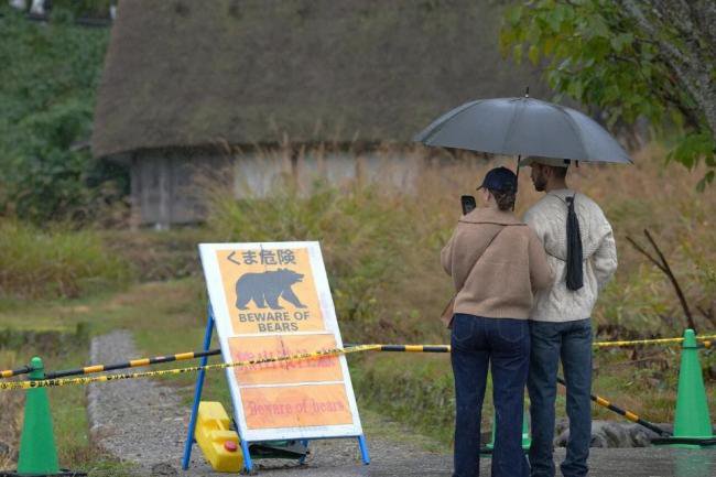 不敢去日本的游客,被现实版“熊出没”吓坏了 不敢去日本的游客,被现实版“熊出没”吓坏了