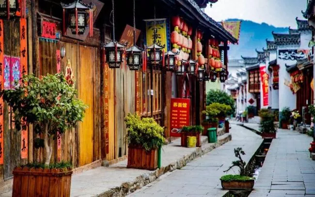 8年烧光50个亿！中国又一行业批量倒闭