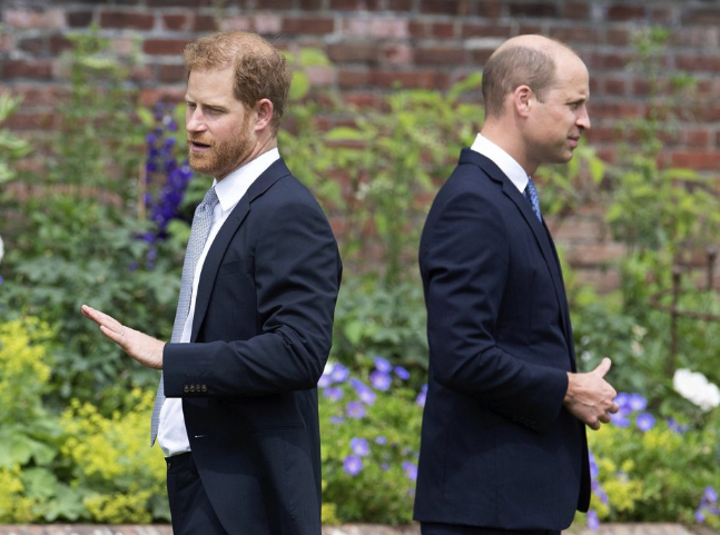 王室惊爆哈利恐被剥夺爵位