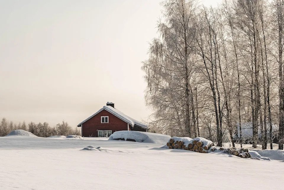 芬蘭人距離自然環境，平均距離只有200公尺。（示意圖／PIXABAY）