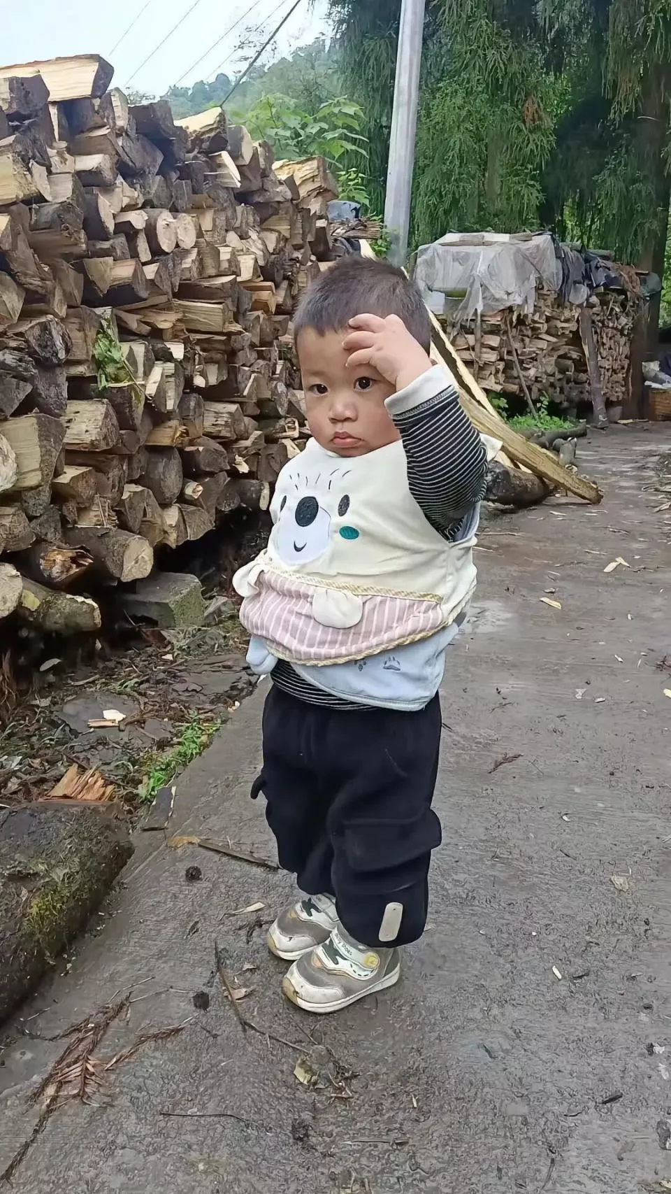 四川叙永2岁男童失踪近两月，母亲：悬赏10万真实有效