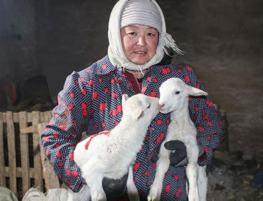 中国最好吃的羊肉  都在这张地图里