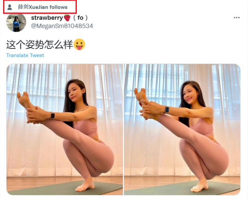 中國駐大阪總領事薛劍，過去在X疑似關注瑜珈正妹，不少中國網友留言調侃。（圖擷自「@wutingzy」X帳號）