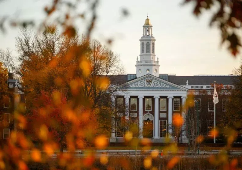 没必要花钱培养精英？美名校博士招生名额蒸发中