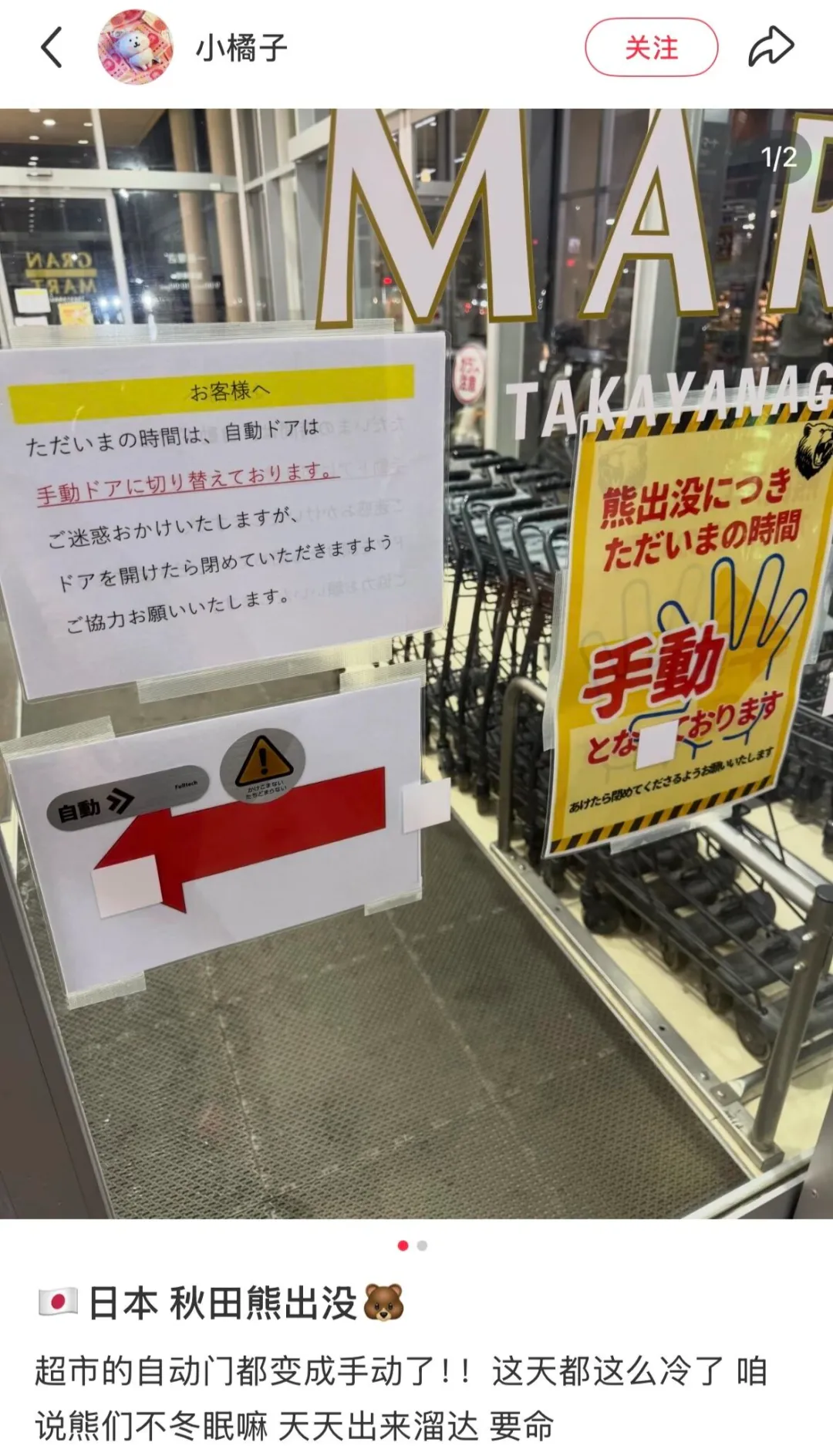 “开始记得人的味道” 日本熊灾最新进展吓人