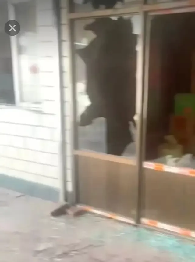 一条狗被摔死后,引发的一起邻里血案