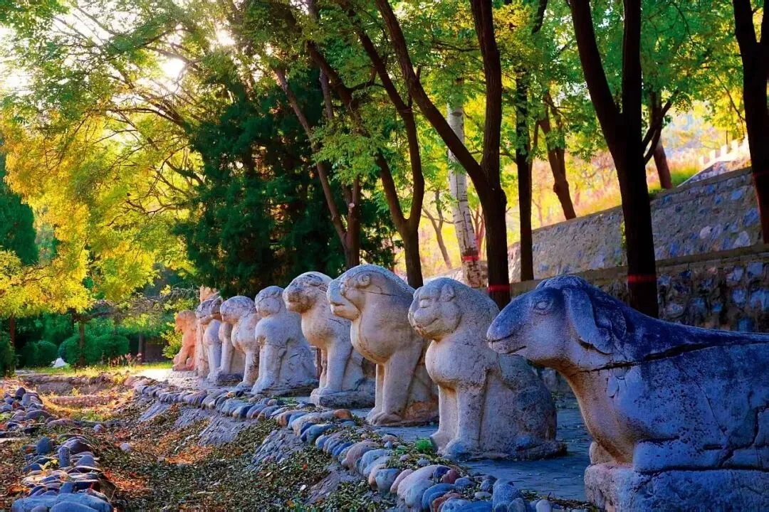 这里，震惊了考古界