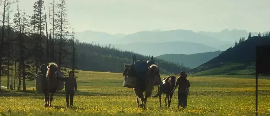 北上广疯抢的天价奶皮子，内蒙人看了又气又笑