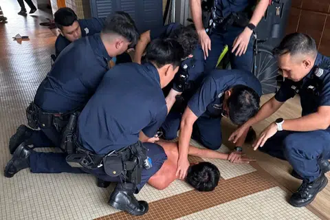 上海多家学校午餐发臭 8人被捕 上海多家学校午餐发臭 8人被捕