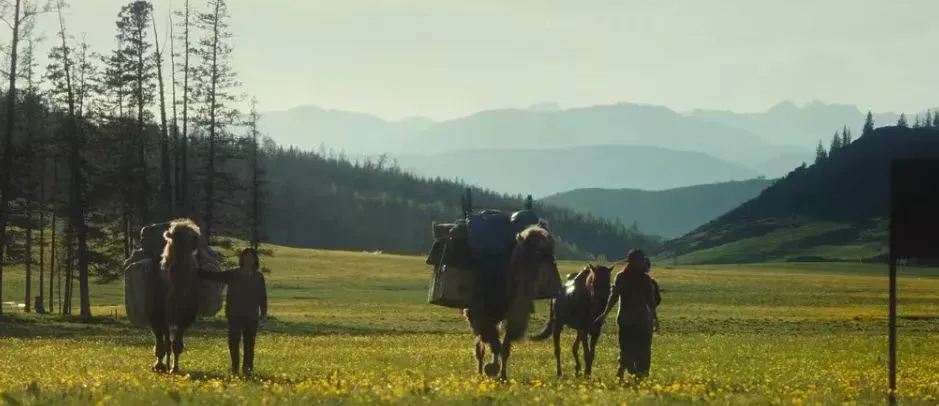 北上广疯抢天价奶皮子，内蒙人看了又气又笑