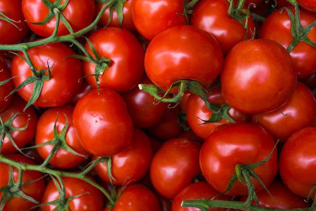 中国番茄酱出口遭意大利抵制 积压如山 中国番茄酱出口遭意大利抵制 积压如山