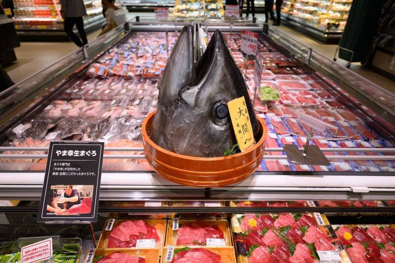 中國19日突然禁止日本水產品進口。日本水產示意圖。(彭博)