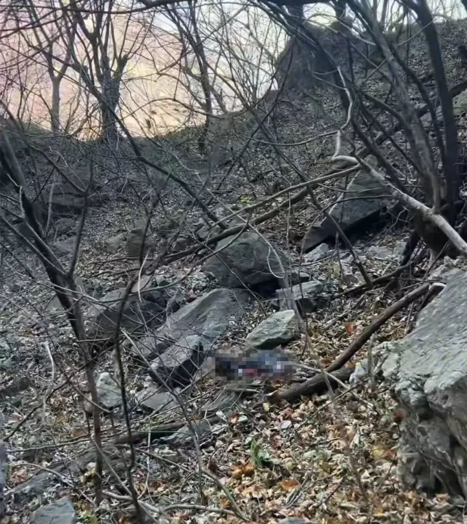 男子在河南南太行失联43天,有人发现疑似遗体及物品