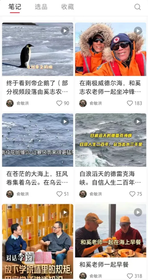 撑不住了,他们押宝中国 撑不住了,他们押宝中国