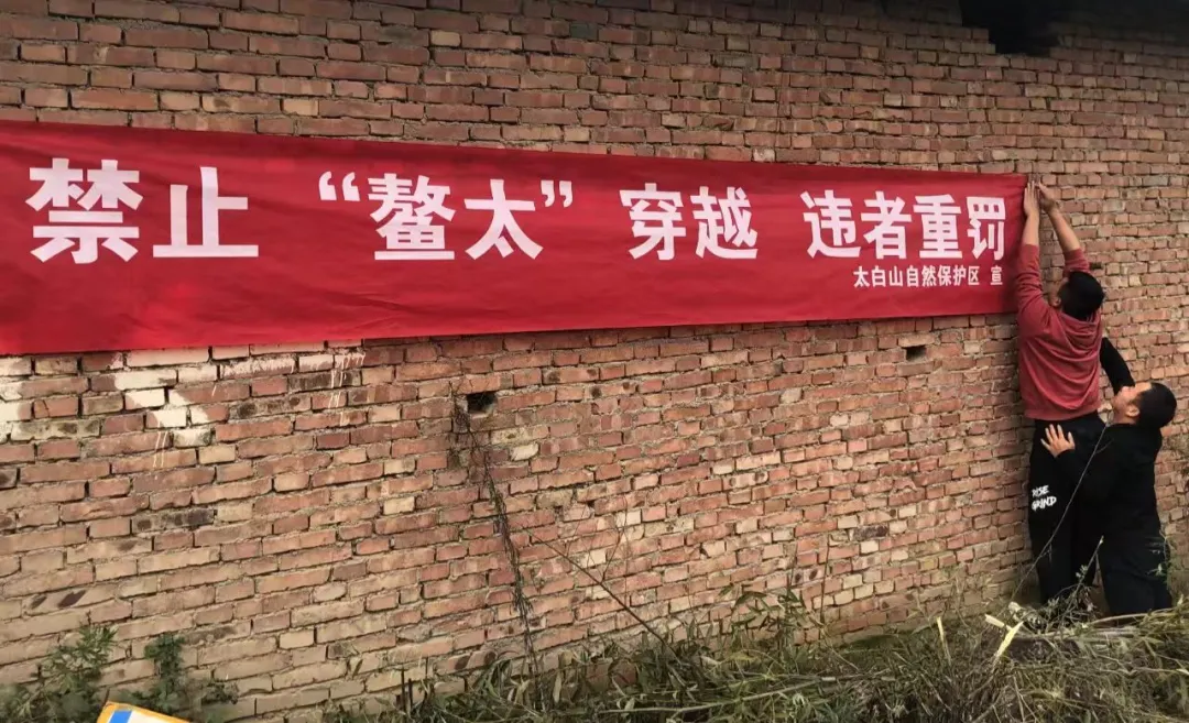 “徒步圈顶流”,中国死亡率最高的“夺命路线” “徒步圈顶流”,中国死亡率最高的“夺命路线”