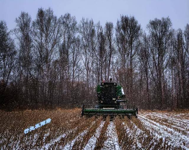 西伯利亚:吃不完的肉 砍不完的森林 挖不完的矿 西伯利亚:吃不完的肉 砍不完的森林 挖不完的矿